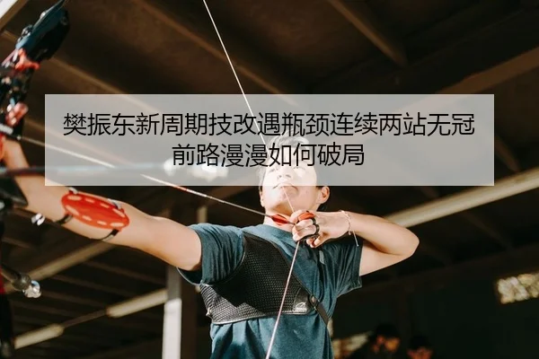 樊振东新周期技改遇瓶颈连续两站无冠 前路漫漫如何破局
